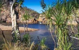Nitmiluk Private Tours - Edith Falls - Sugarbag Safaris