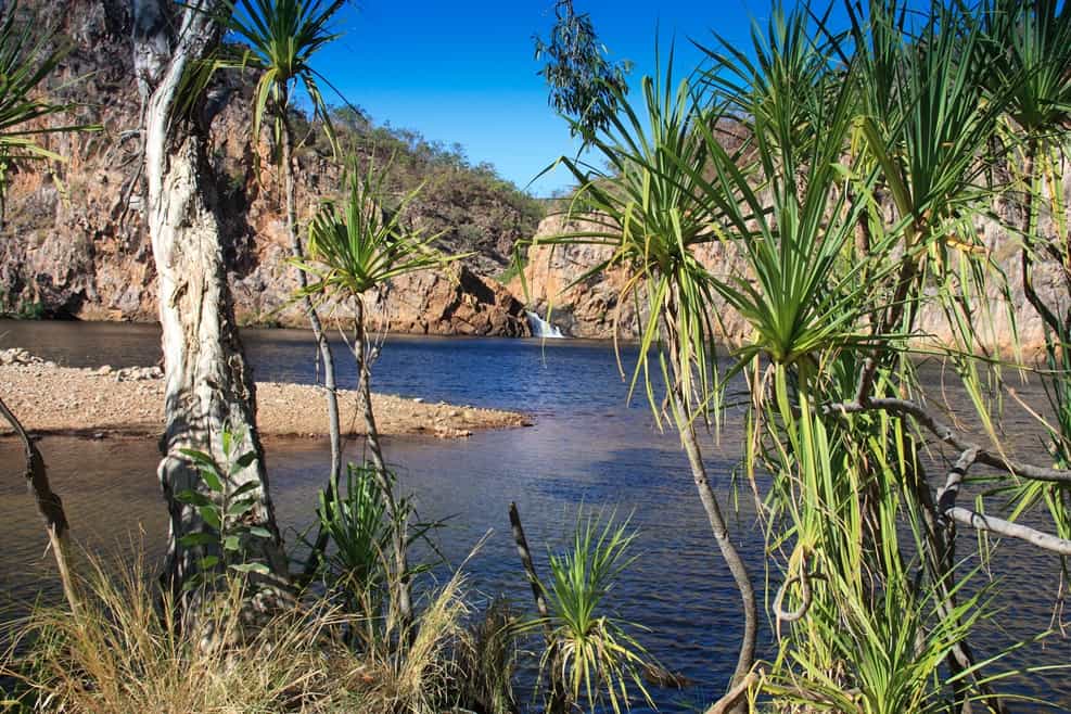 Nitmiluk Private Tours - Edith Falls - Sugarbag Safaris