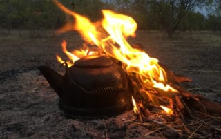Sugarbag Safaris Private Camping Tour