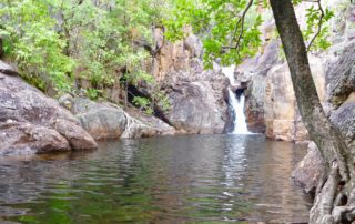 Ikoymarrwa - Moline Rockhole - Kakadu private tour - Sugarbag Safaris