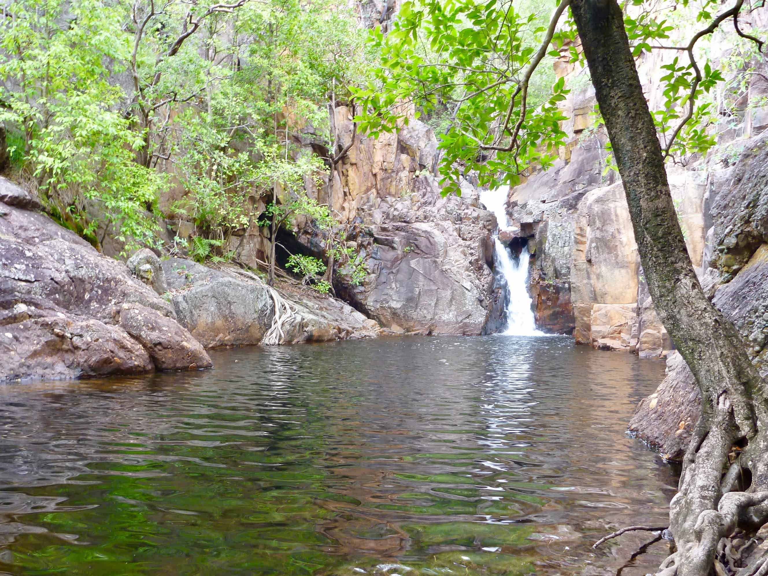 Ikoymarrwa - Moline Rockhole - Kakadu private tour - Sugarbag Safaris